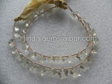 Scapolite Star Cut Shape Beads